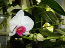 DSCN0454