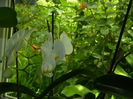 DSCN0455