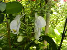 DSCN0457
