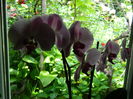 DSCN0462