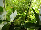 DSCN0463