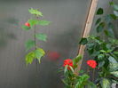 DSCN0464