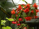 DSCN0467