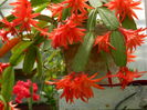 DSCN0468