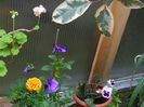 DSCN0472