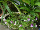 DSCN0473