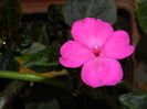 DSCN0475
