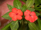 DSCN0476