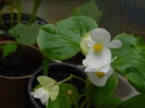 DSCN0477