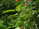 DSCN0480