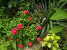 DSCN0482