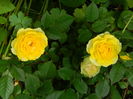 DSCN0488
