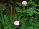 DSCN0489