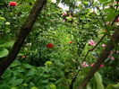 DSCN0497