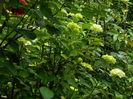 DSCN0500