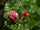 DSCN0501
