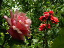 DSCN0502