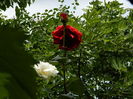DSCN0503