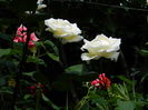 DSCN0504