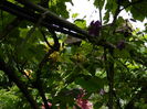 DSCN0506