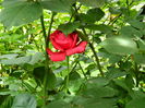DSCN0509
