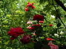 DSCN0511