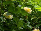 DSCN0514
