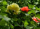 DSCN0515