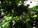 DSCN0517