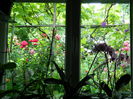 DSCN0520