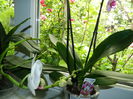 DSCN0522