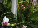 DSCN0523