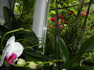DSCN0524