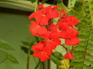 DSCN0531