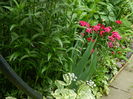 DSCN0534