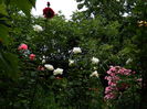 DSCN0536