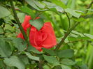 DSCN0538