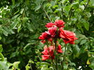 DSCN0539