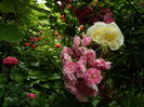 DSCN0540