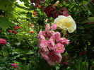DSCN0541