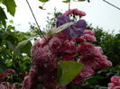 DSCN0543