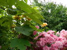 DSCN0545