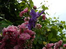 DSCN0547