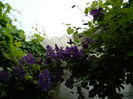 DSCN0549