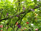 DSCN0552