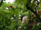 DSCN0555