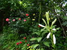 DSCN0559