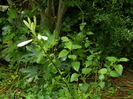 DSCN0560