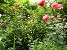 DSCN0562