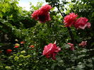 DSCN0565
